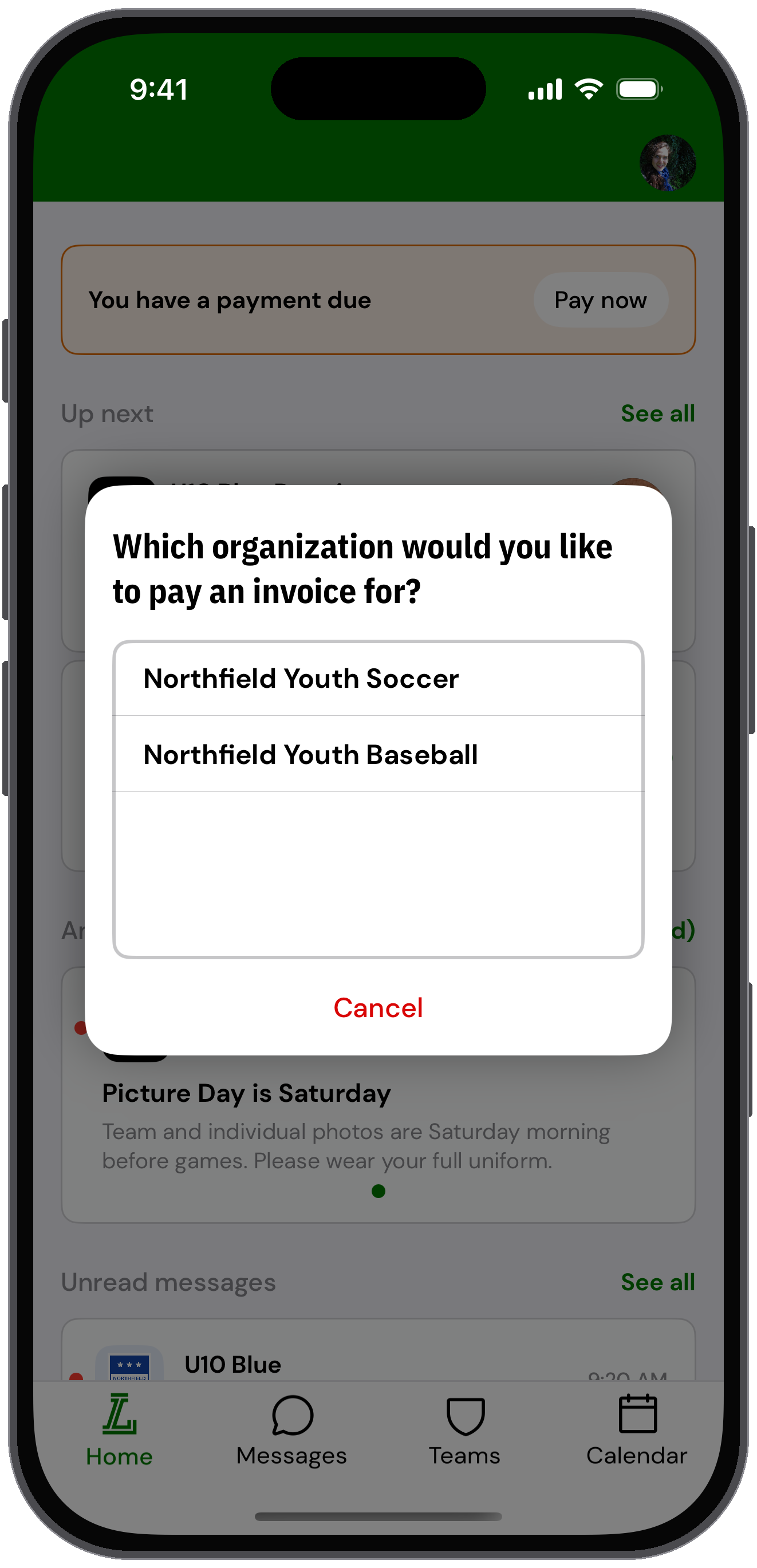 Prompt asking which organization to pay an invoice for, listing two organizations